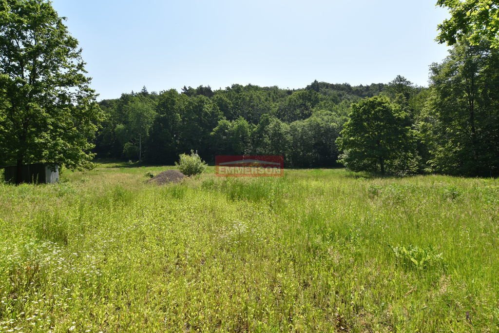 Działka komercyjno-usługowa 15 000 m² z dostępem do lasu Siepraw  15 000m2 Foto 1