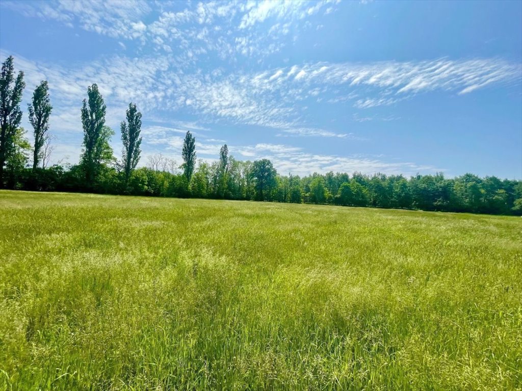 Działka budowlana na sprzedaż Bieczyny, Piękna  5 018m2 Foto 11