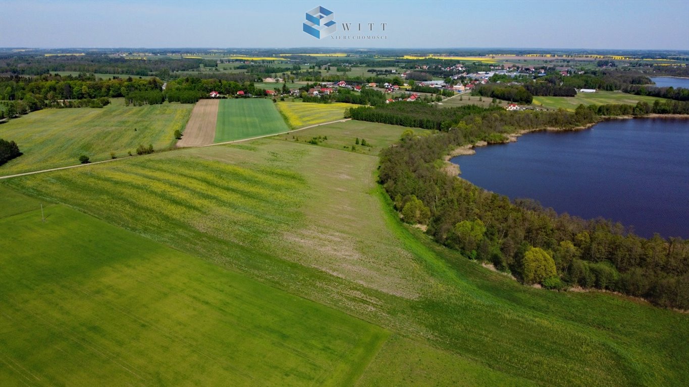 Działka inna na sprzedaż Zalewo  3 000m2 Foto 7