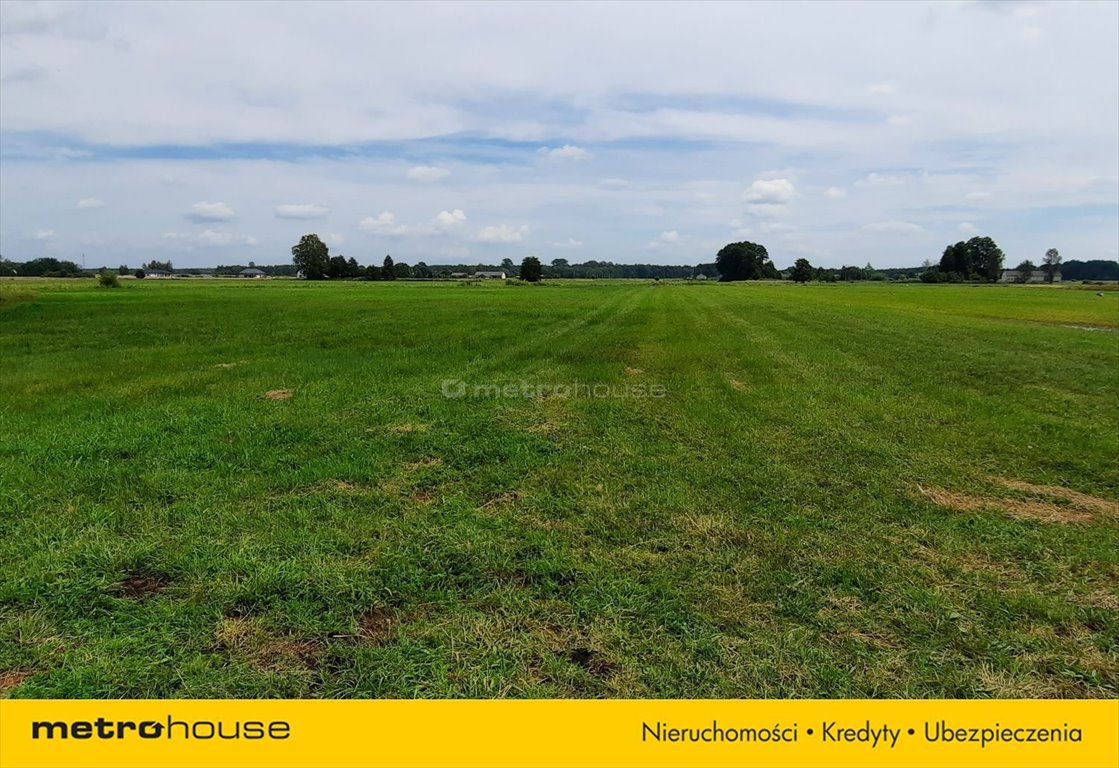 Działka rolna na sprzedaż Żeliszew Podkościelny  9 283m2 Foto 9