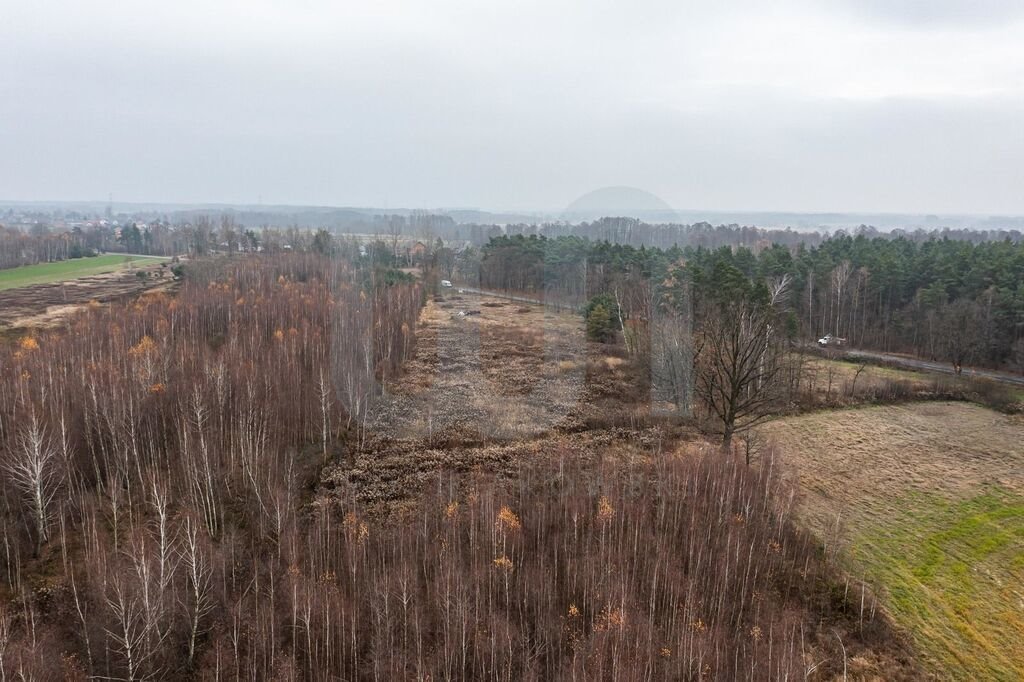 Działka komercyjna na sprzedaż Ręczaje Polskie  23 700m2 Foto 9