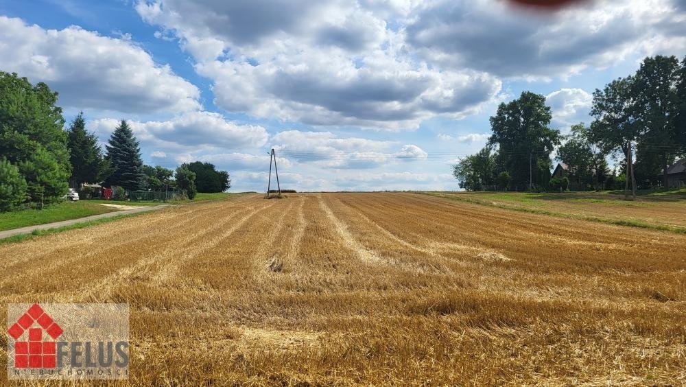 Działka inna na sprzedaż Czuszów  1 600m2 Foto 4