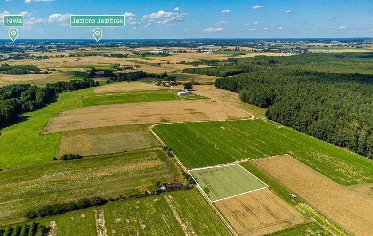 Działka budowlana na sprzedaż Dziarnówko  3 000m2 Foto 5