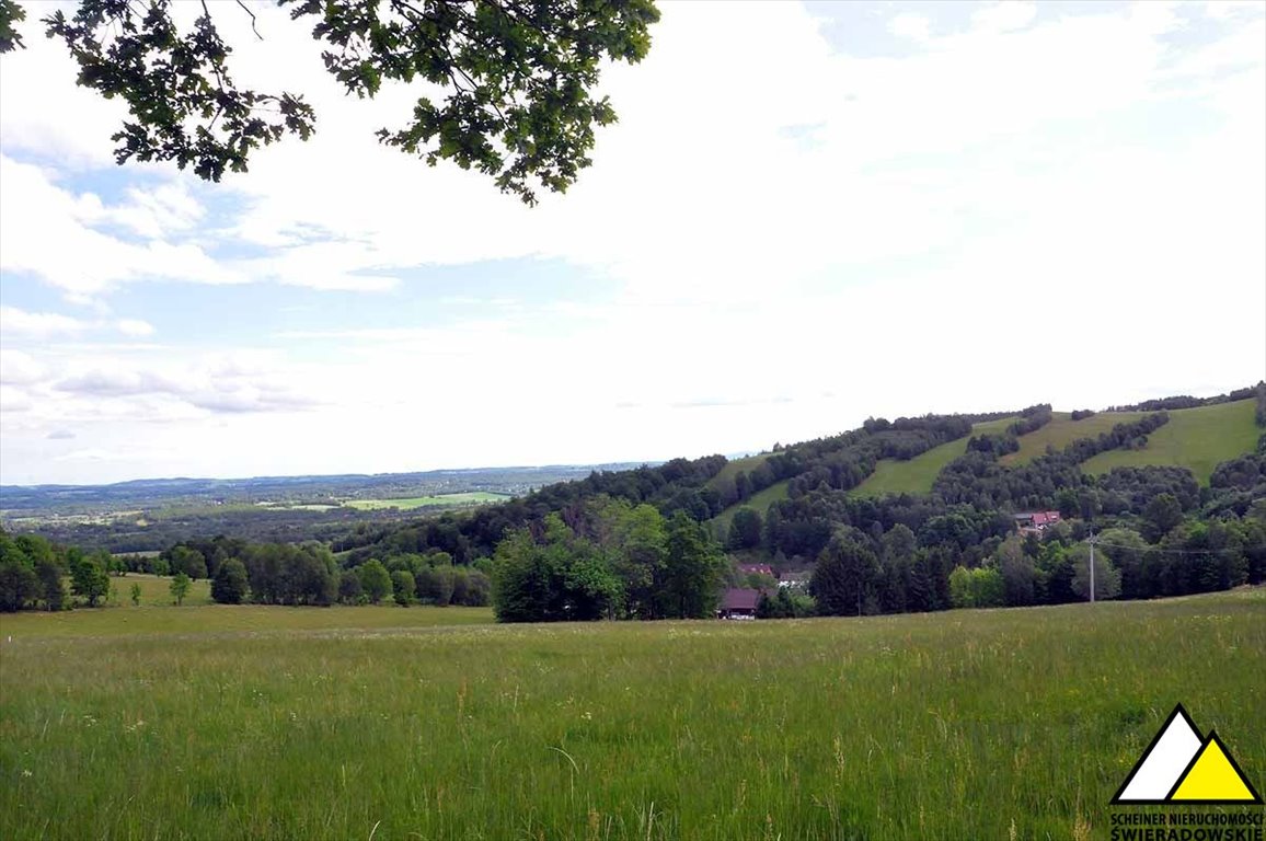 Działka budowlana na sprzedaż Gierczyn  9 700m2 Foto 6