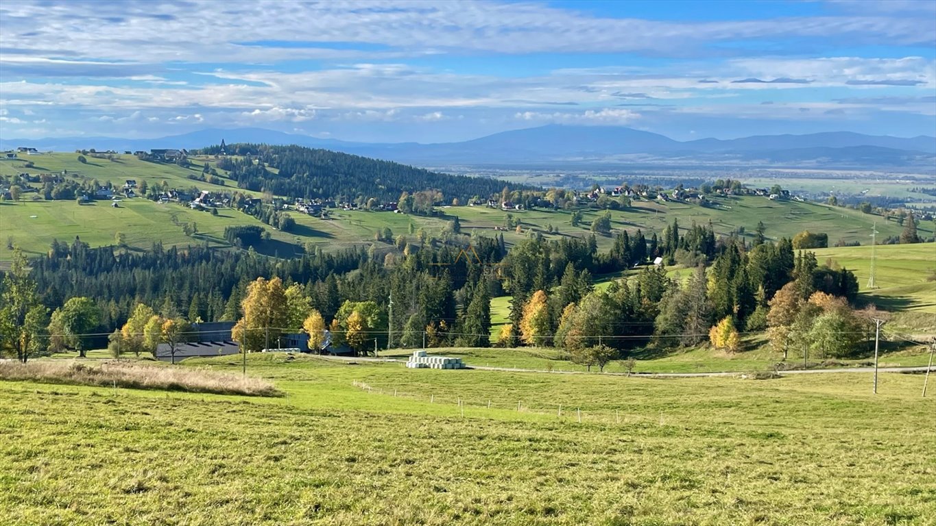 Działka budowlana na sprzedaż Sierockie  5 883m2 Foto 10