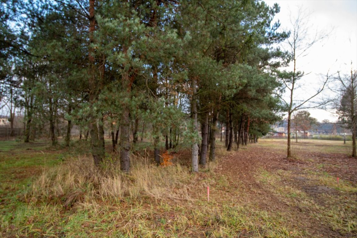 Działka budowlana na sprzedaż Koszęcin, Słowików  500m2 Foto 9