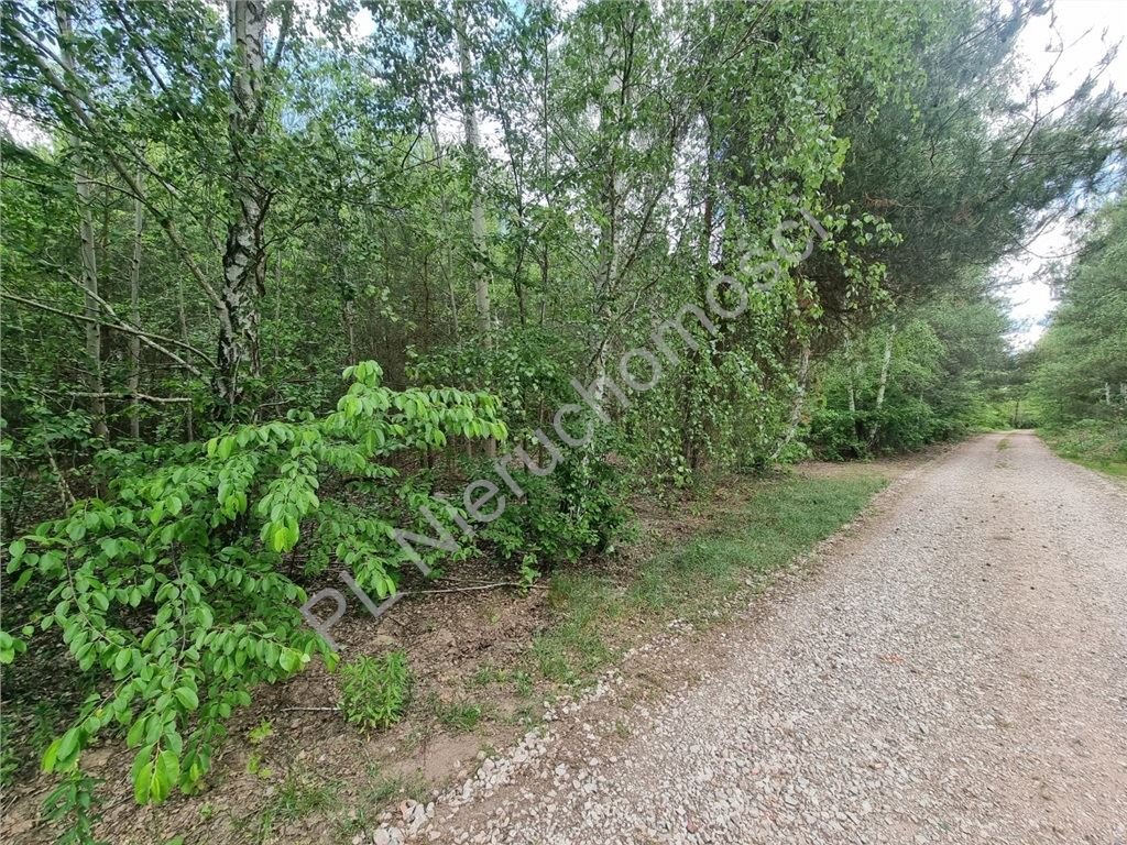 Działka budowlana 2000 m² w Strzeniówce - spokojna okolica. Strzeniówka  2 000m2 Foto 1