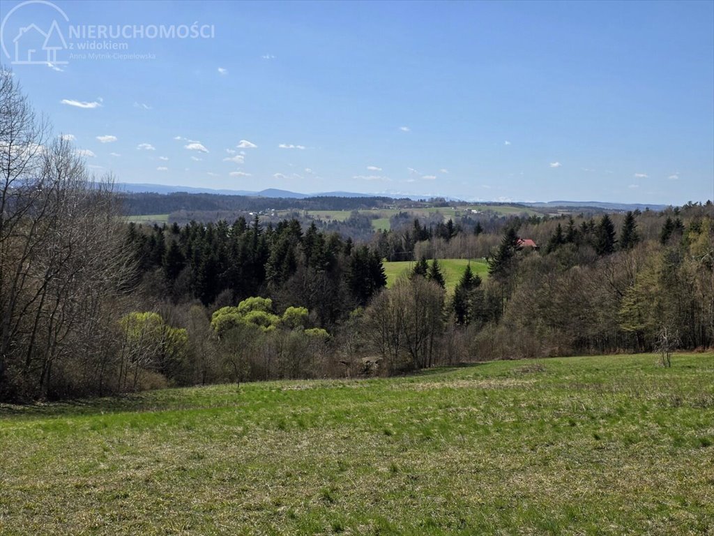Urokliwa działka 58 arów z widokiem na Tatry i las Rzepiennik Strzyżewski  5 800m2 Foto 1
