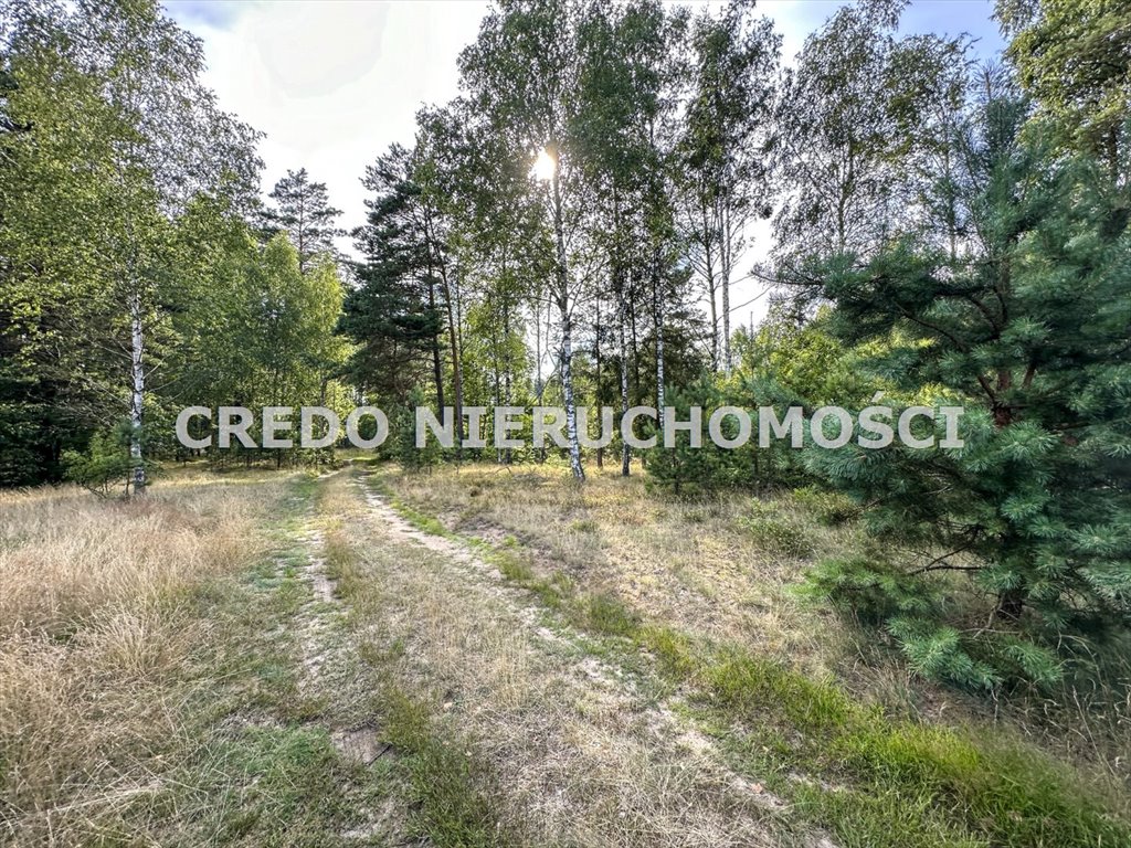 Działka rolna na sprzedaż Jedwabno  3 000m2 Foto 14