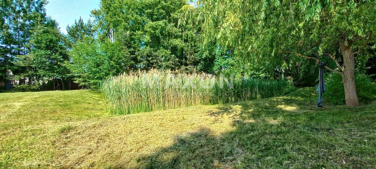 Działka budowlana na sprzedaż Murowanka  2 900m2 Foto 10