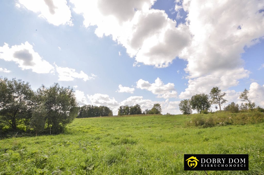 Działka 1,5 ha z dwoma domami w Wobały - polecam Wobały  15 000m2 Foto 1