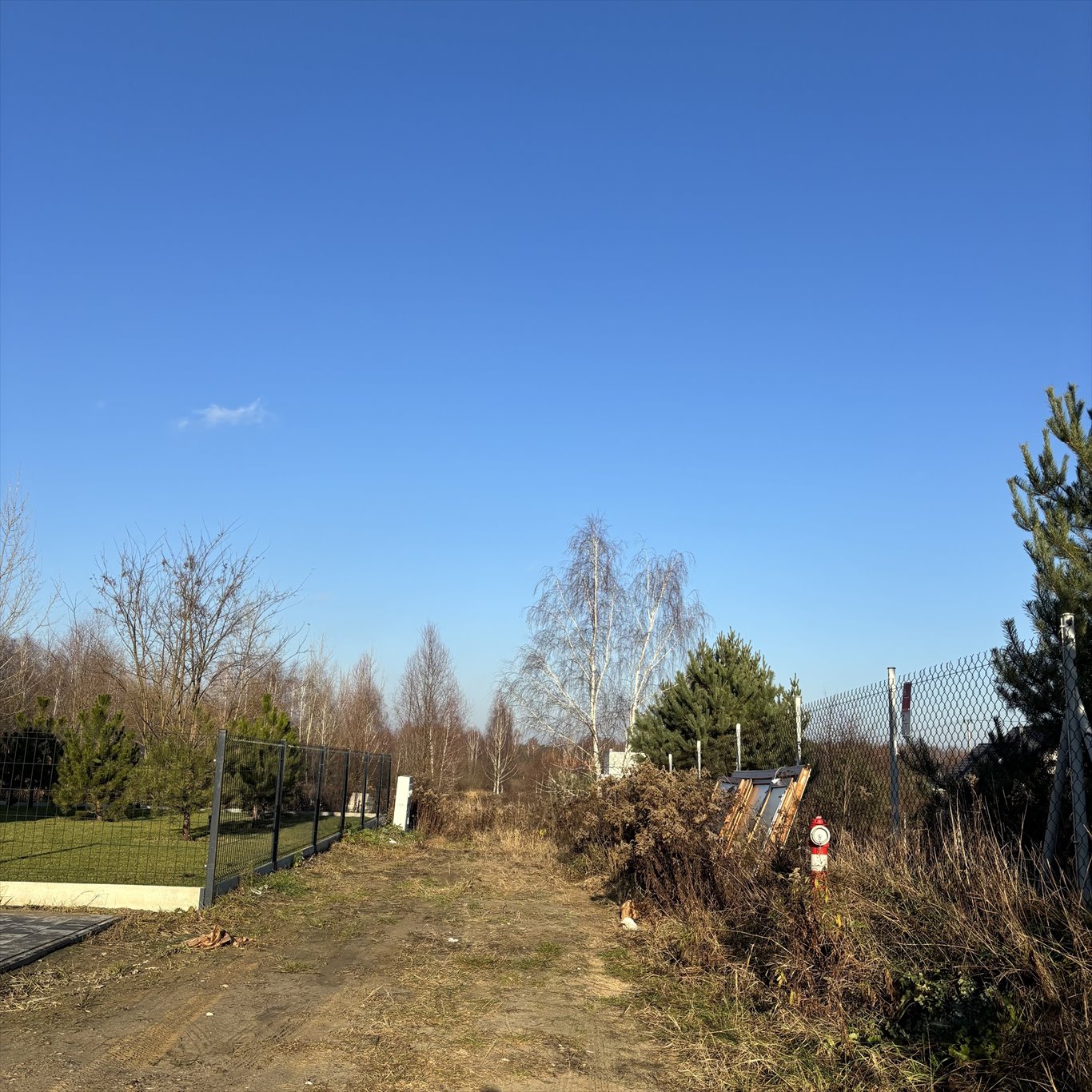 Działka budowlana na sprzedaż Borzęcin Duży, Trakt Królewski  2 000m2 Foto 4