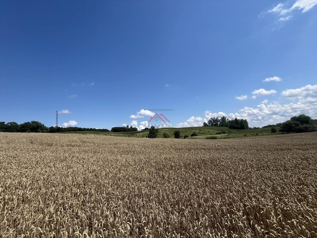 Działka budowlana na sprzedaż Jajkowo  1 042m2 Foto 4