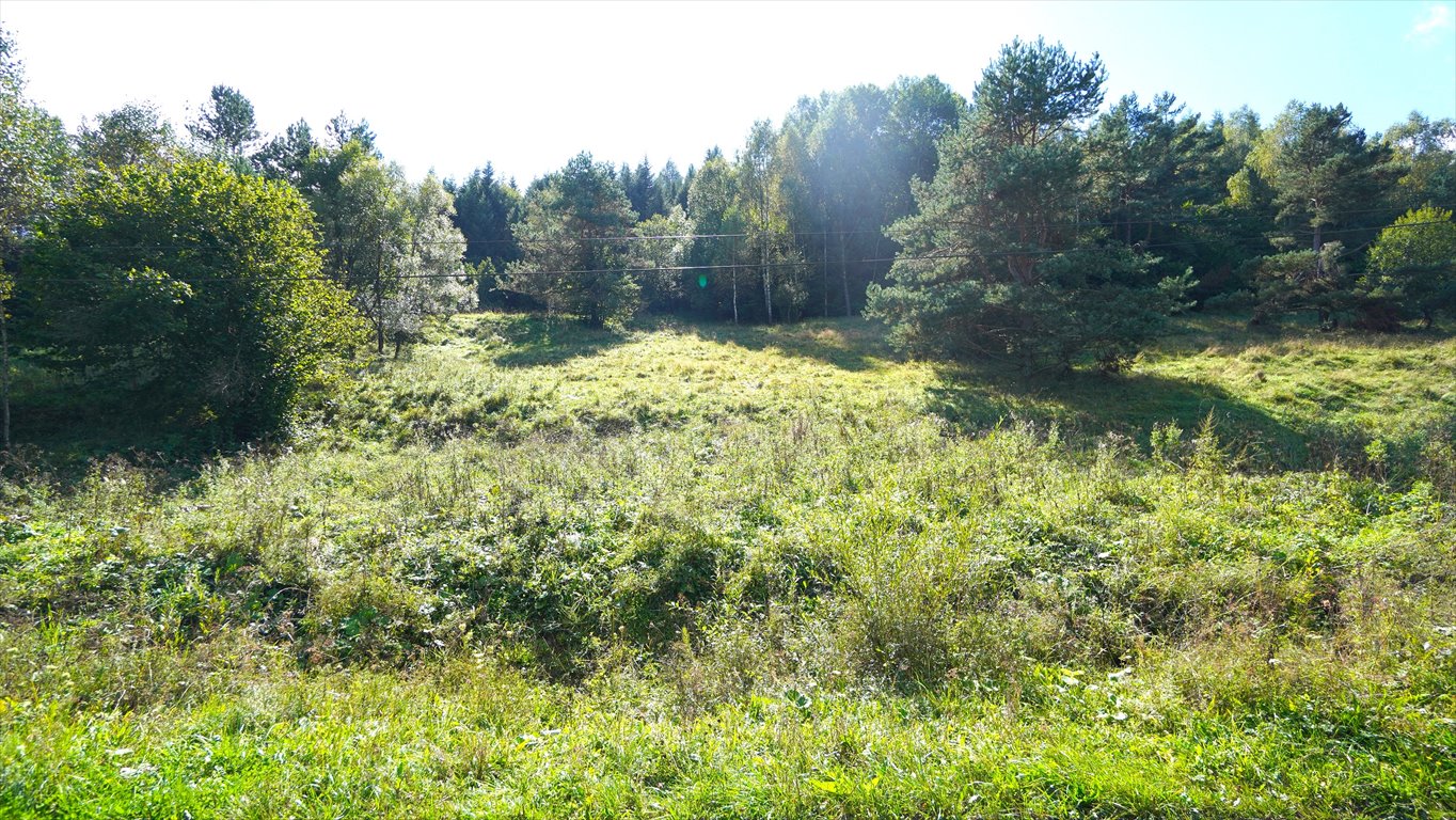 Sprzedam działkę 0,63 ha pod pensjonat i rekreację w Wysowa-Zdrój Wysowa-Zdrój  6 349m2 Foto 1