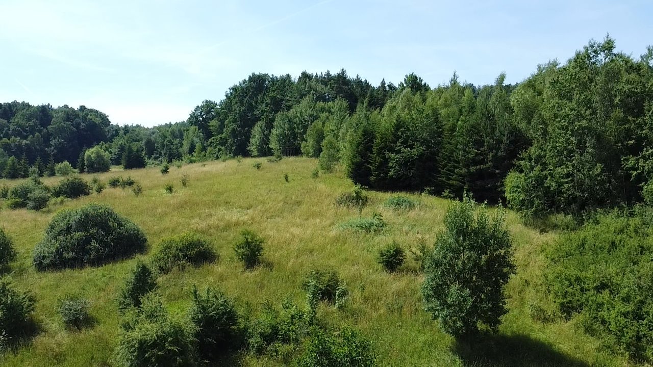 Działka budowlana na sprzedaż Stróżówka  2 350m2 Foto 5