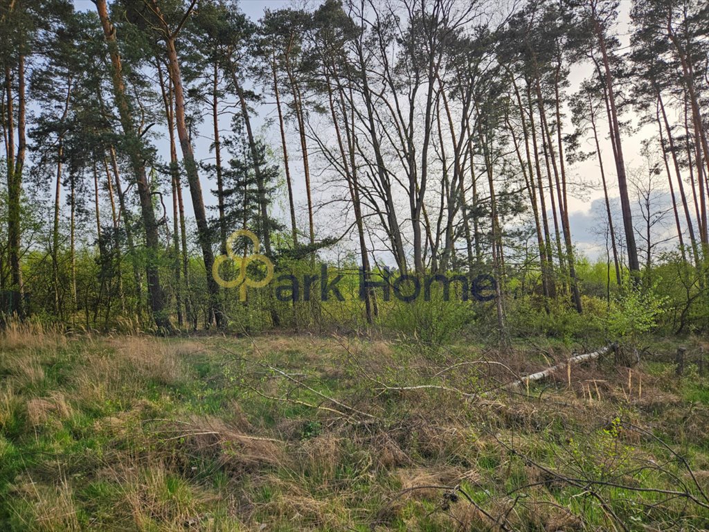 Działka budowlana na sprzedaż Niwiska  2 179m2 Foto 5