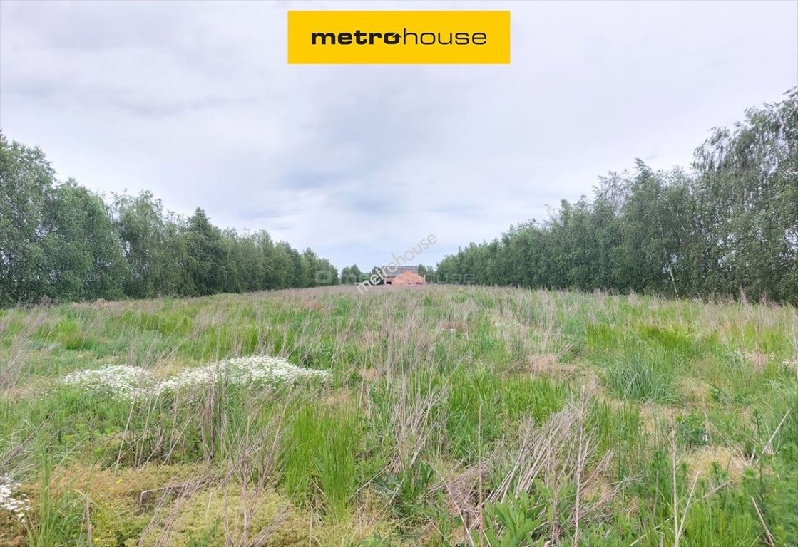 Działka 3000 m2 pod zabudowę w Radzewie - cicha okolica. Radzewo  3 000m2 Foto 1