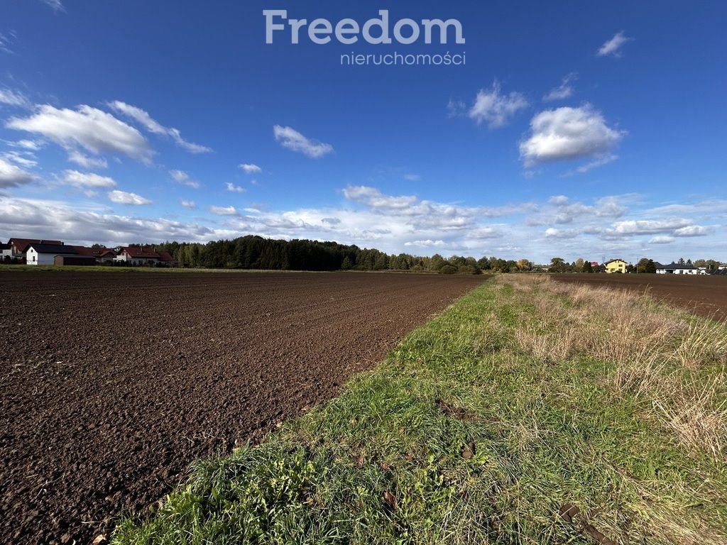 Działka rolna na sprzedaż Polanka Wielka, Spacerowa  5 488m2 Foto 1