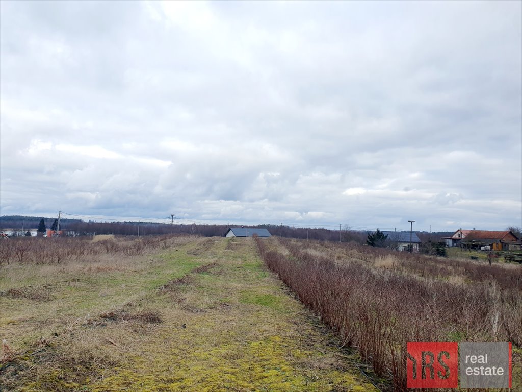 Działka budowlana na sprzedaż Chruściele  3 149m2 Foto 9