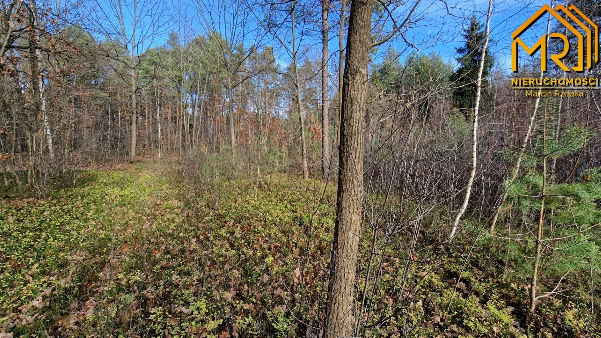 Działka rolna na sprzedaż Stare Żukowice  2 200m2 Foto 9