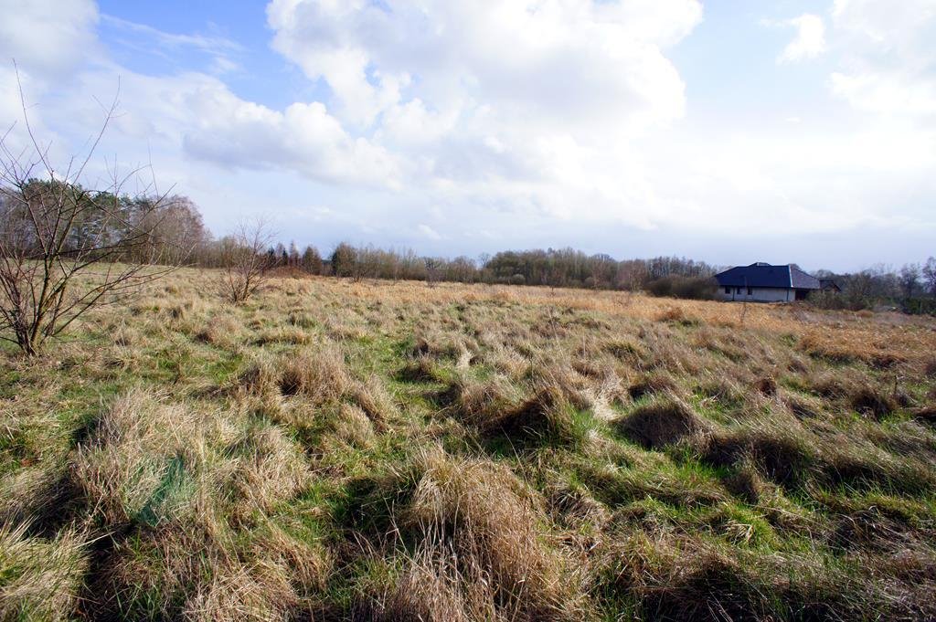 Działka budowlana na sprzedaż Żółwia Błoć  1 072m2 Foto 8