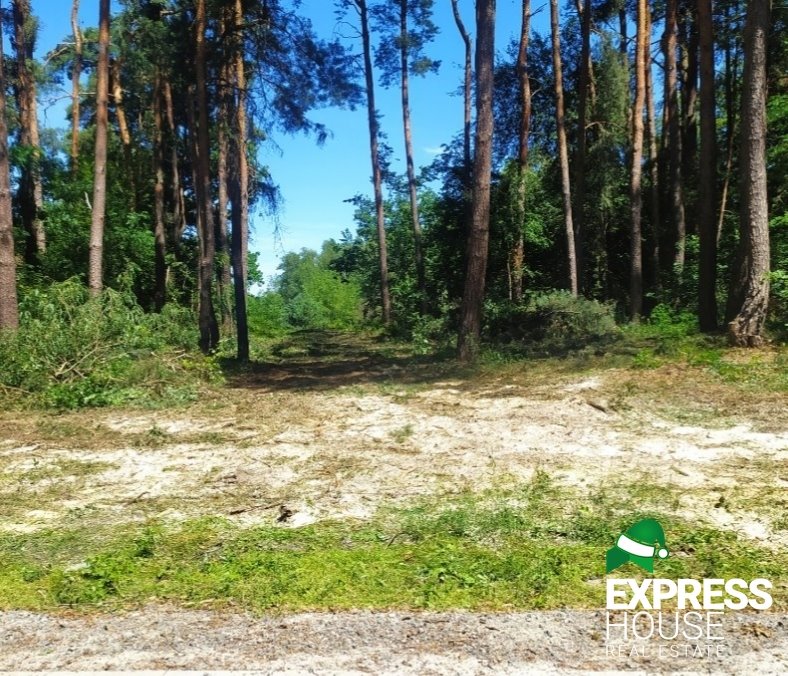 Działka budowlana na sprzedaż Kruszówiec, Nowa  4 500m2 Foto 2