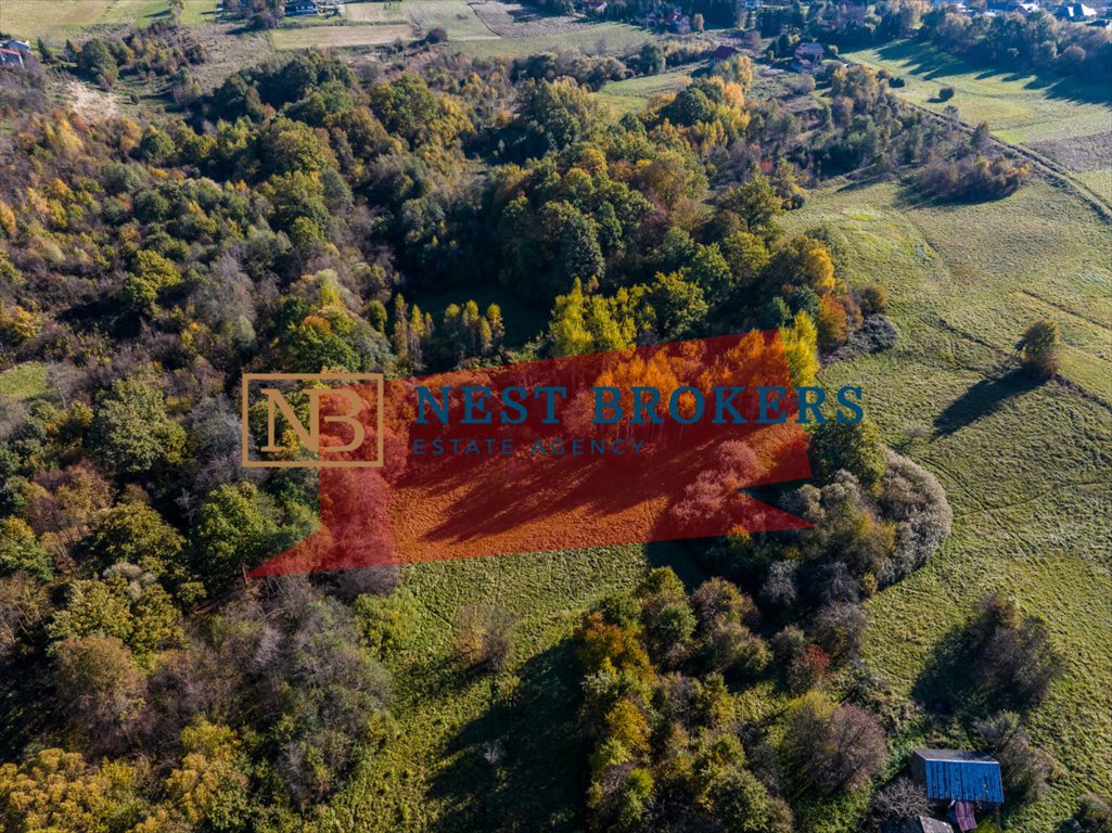 Działka budowlana na sprzedaż Pawlikowice  3 900m2 Foto 6