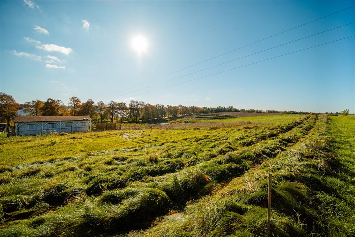 Działka budowlana na sprzedaż Sztum, 100m od jeziora Dzierzgoń! Ostatnie działki!  498m2 Foto 1