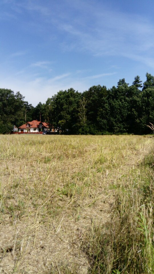 Działka rolna na sprzedaż Michalów  7 100m2 Foto 1
