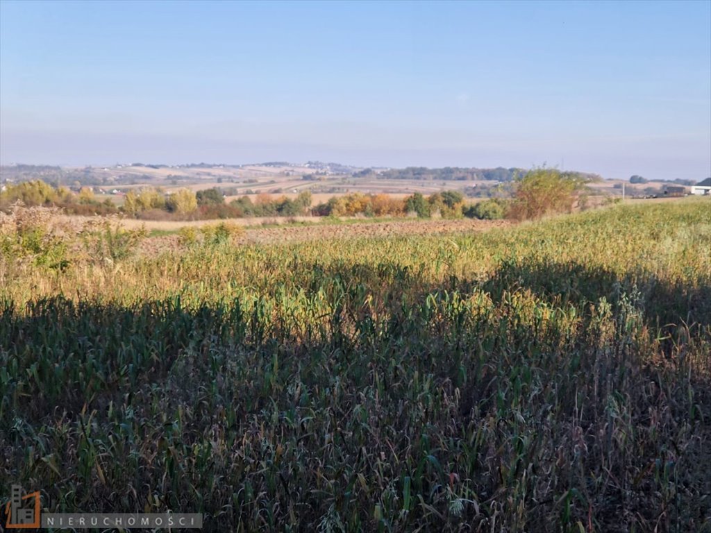 Działka rolna na sprzedaż Wilków  7 700m2 Foto 1