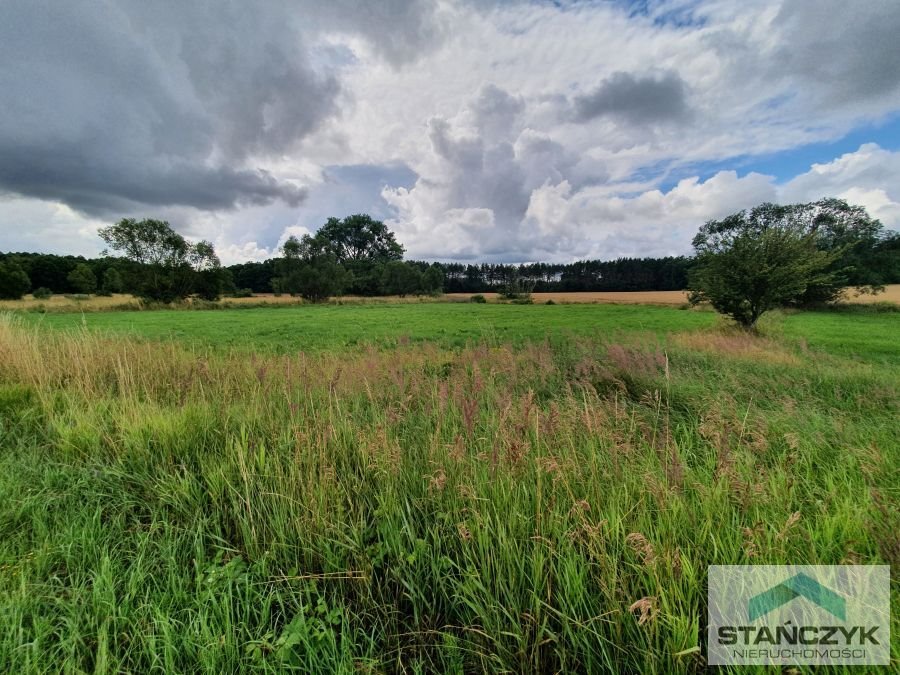 Duża działka 10781 m² blisko plaży, spokój i dostęp do drogi Pobierowo  10 781m2 Foto 1