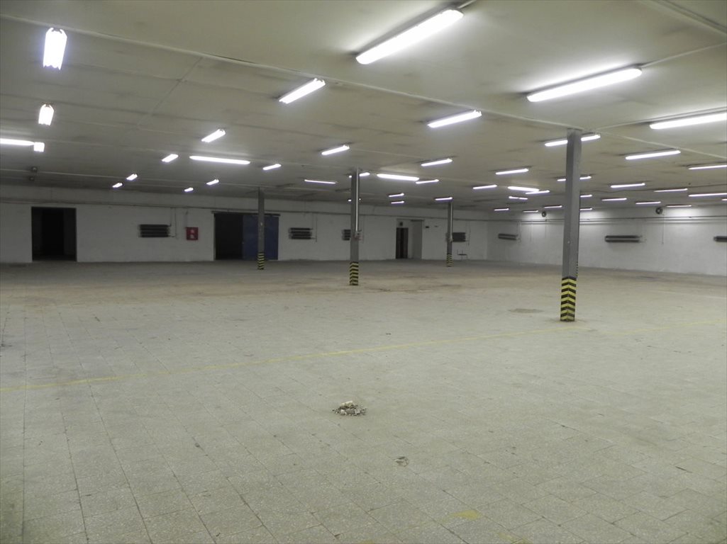 Lokal użytkowy na wynajem Katowice, Roździeń, magazyn pod spożywkę  2 000m2 Foto 3