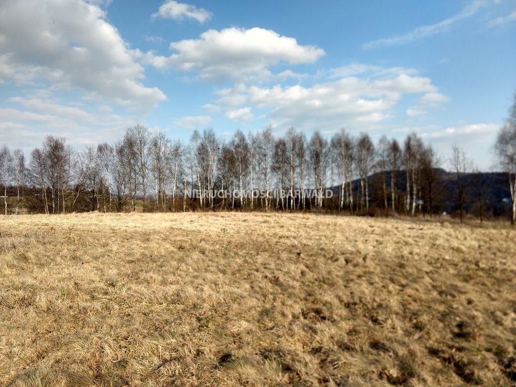 Działka rolna na sprzedaż Podolany  32 800m2 Foto 4