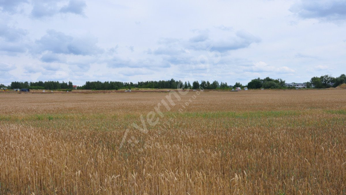 Działka budowlana na sprzedaż Swadzim  23 663m2 Foto 6