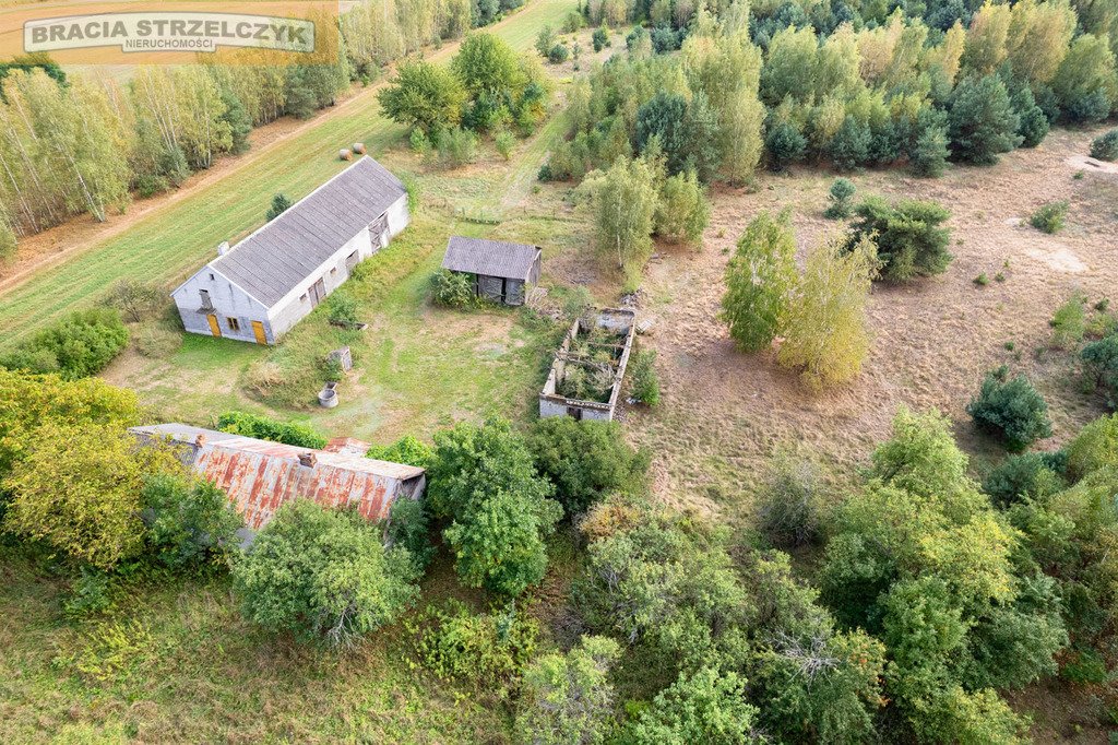 Działka budowlana na sprzedaż Cybulice  40 100m2 Foto 8