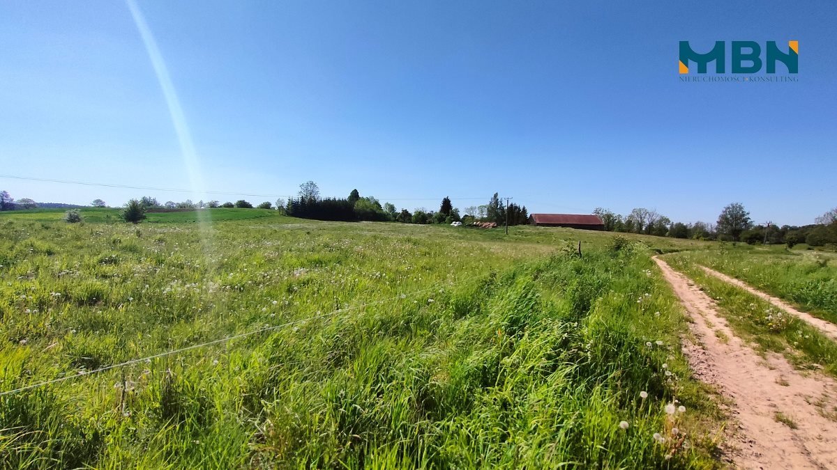 Działka rolna na sprzedaż Węgorzewo, Rudziszki  21 800m2 Foto 5