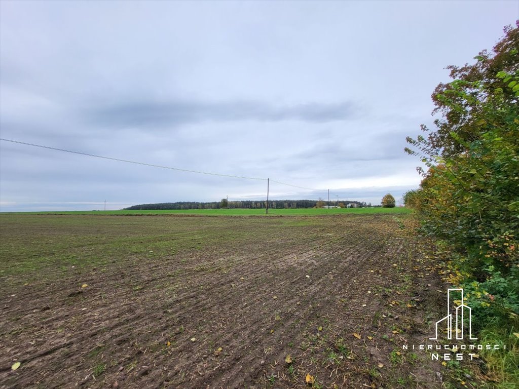 Działka przemysłowo-handlowa na sprzedaż Sękowo, Sękowo działka Usługi Produkcja  40 000m2 Foto 6