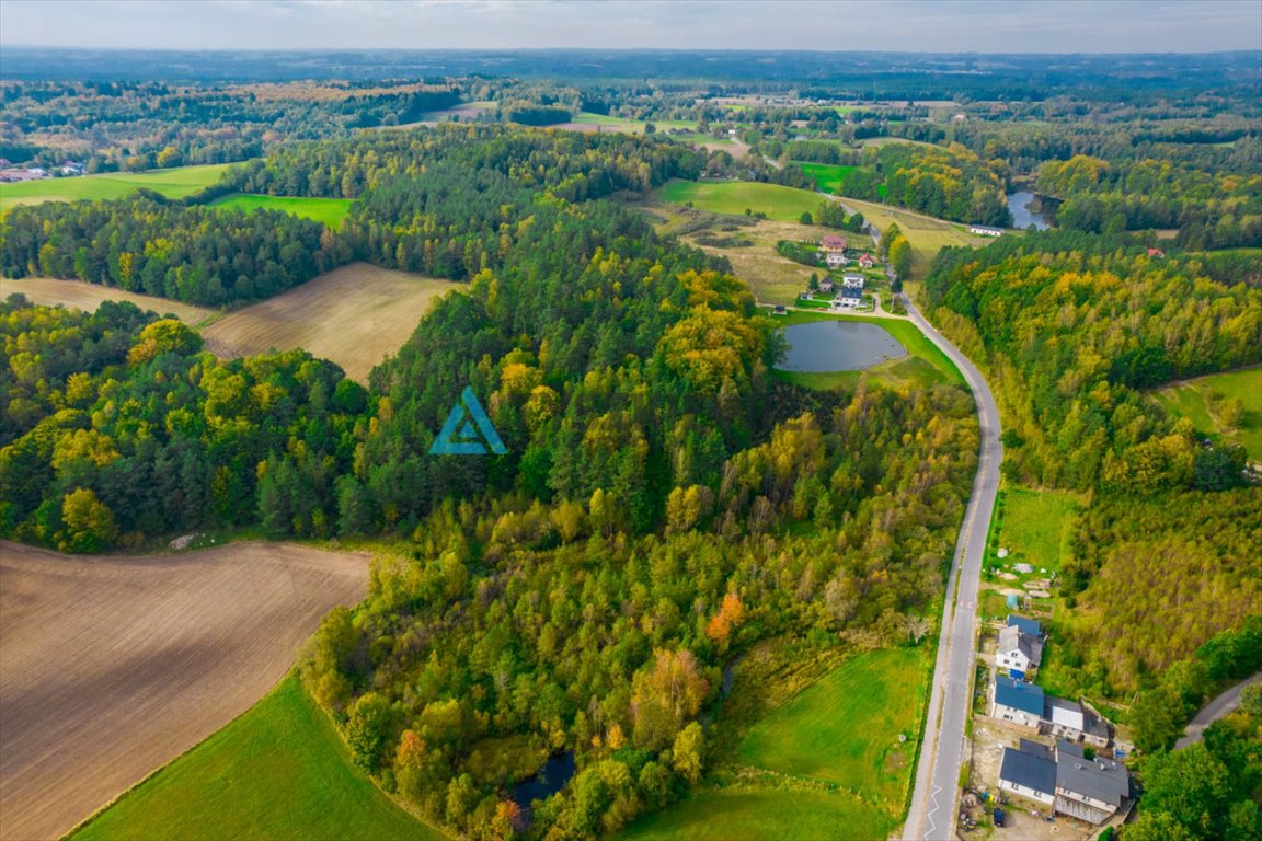 Działka rolna na sprzedaż Gołubie  102 067m2 Foto 10