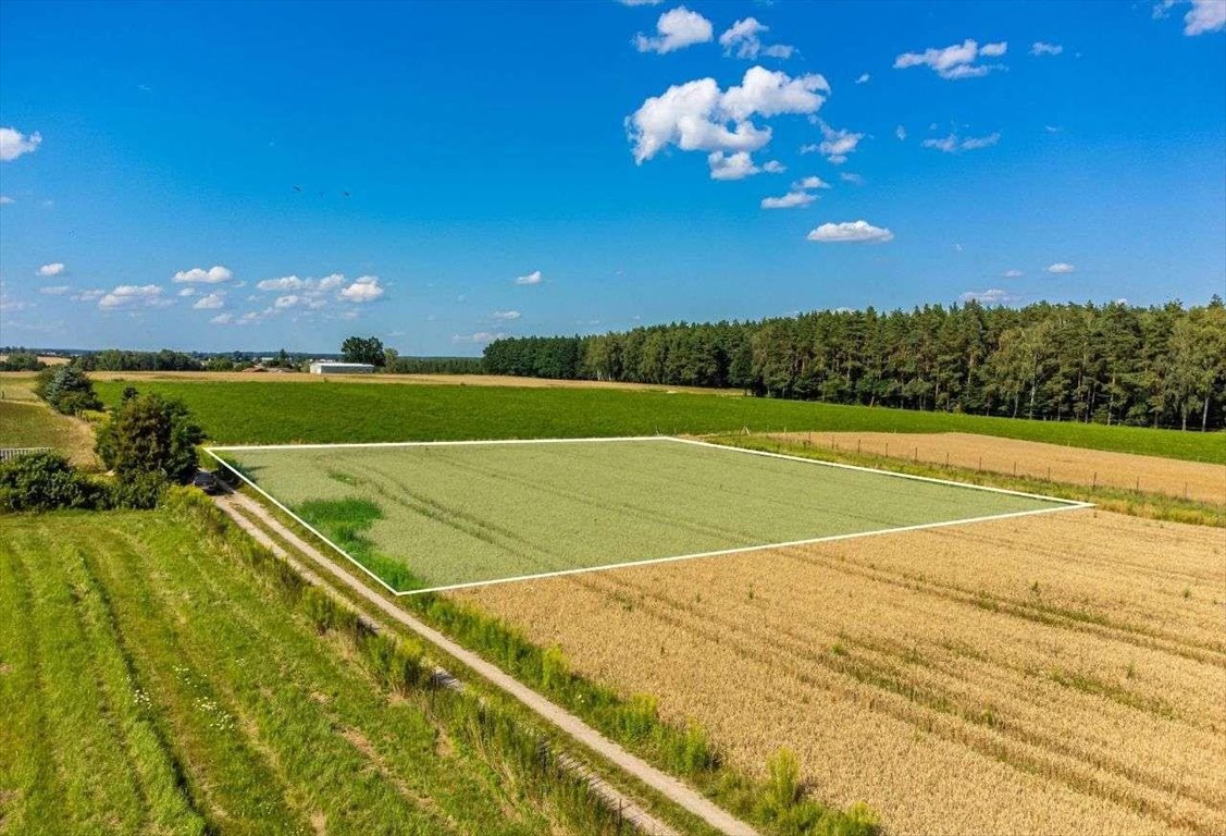 Działka budowlana na sprzedaż Dziarnówko  3 000m2 Foto 3