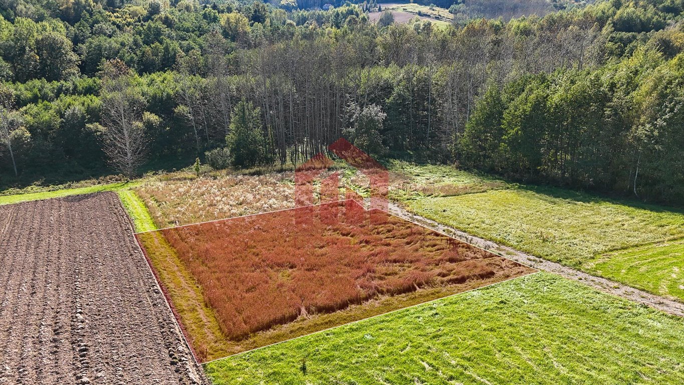 Zapraszam do obejrzenia działki 1000 m² z widokiem w Zagórzu Zagórze  1 000m2 Foto 1