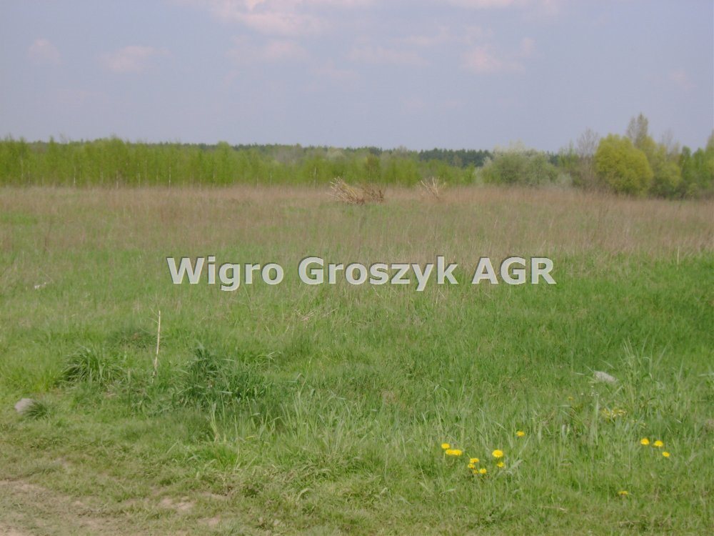 Działka rolna na sprzedaż Borzęcin Duży  2 000m2 Foto 1