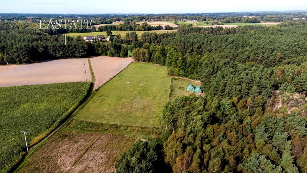 Działka budowlana na sprzedaż Kowalewo, Na Zagajnik  3 366m2 Foto 1