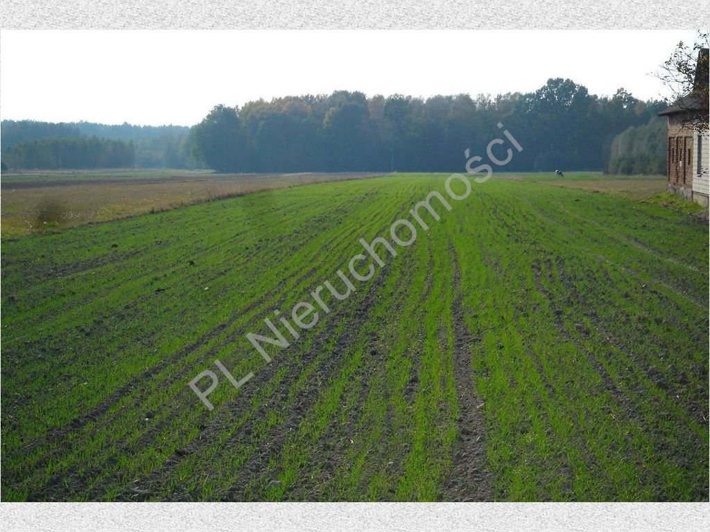 Działka rolna na sprzedaż Nowe Zalesie  3 960m2 Foto 4