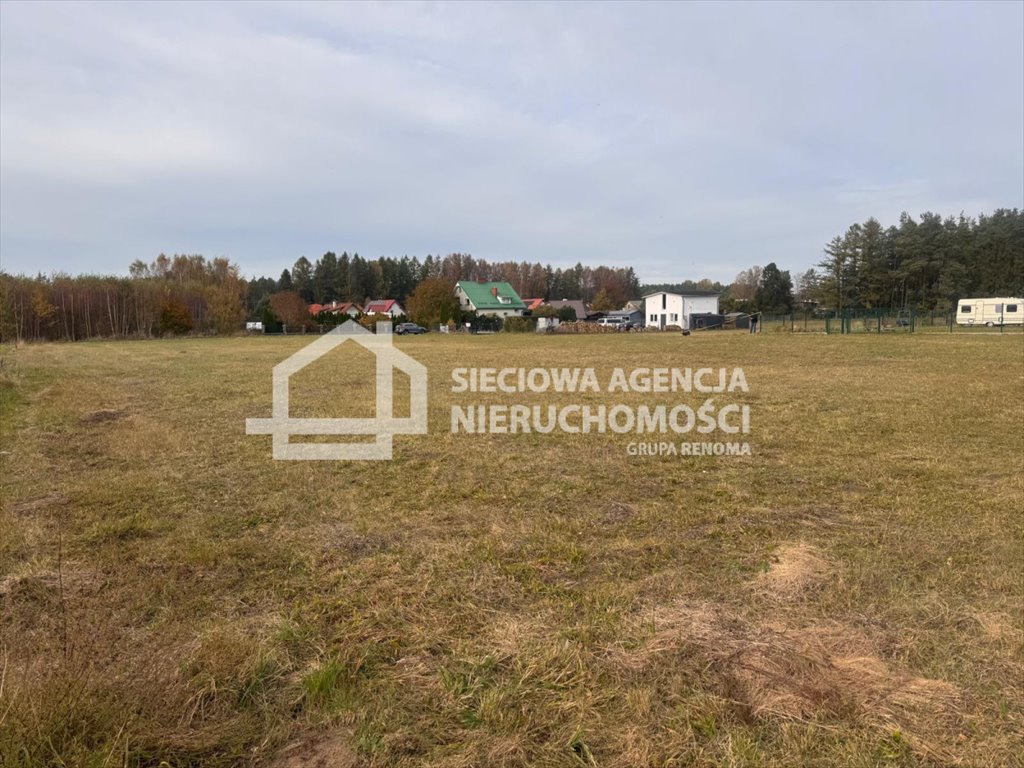 Działka budowlana na sprzedaż Bieszkowice  900m2 Foto 6