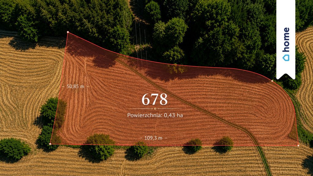 Działka 4300 m² w Babicy z potencjałem budowlanym - polecam! Babica  4 300m2 Foto 1