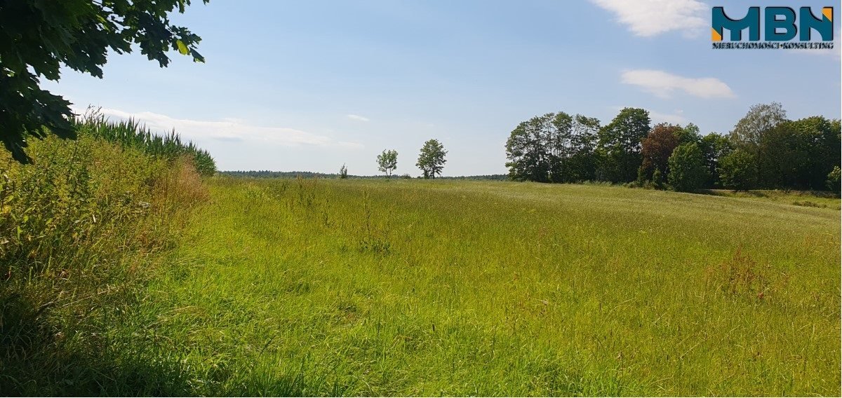 Działka rolna na sprzedaż Stręgielek, Stręgielek  3 035m2 Foto 17