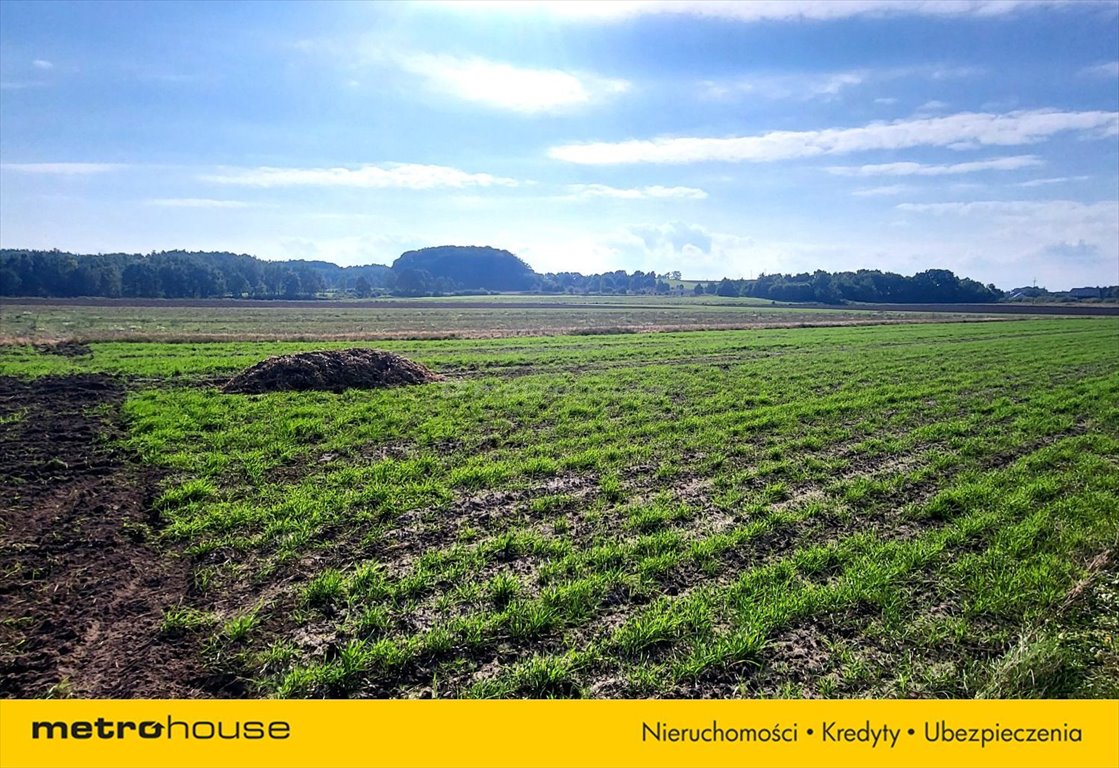 Działka budowlana na sprzedaż Sławoszyno, Spacerowa  1 000m2 Foto 5