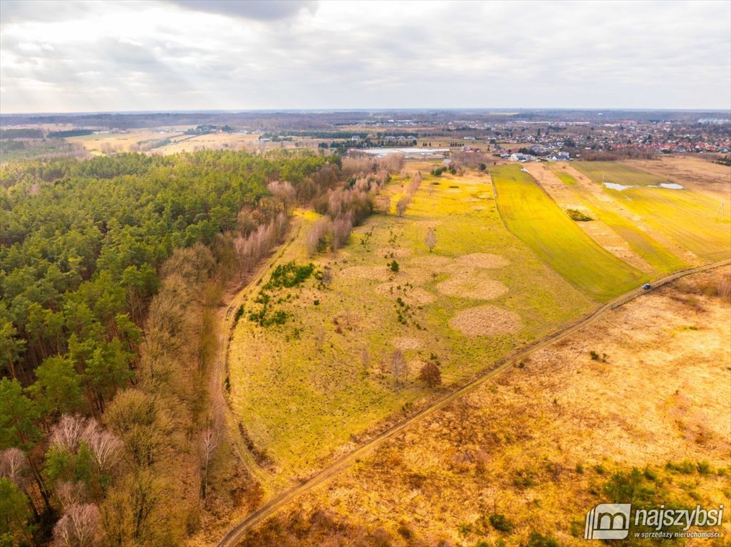 Polecam dużą działkę rolno-zabudowalną 41 218 m² z drzewami Nowogard, Obrzeża miasta  41 218m2 Foto 1