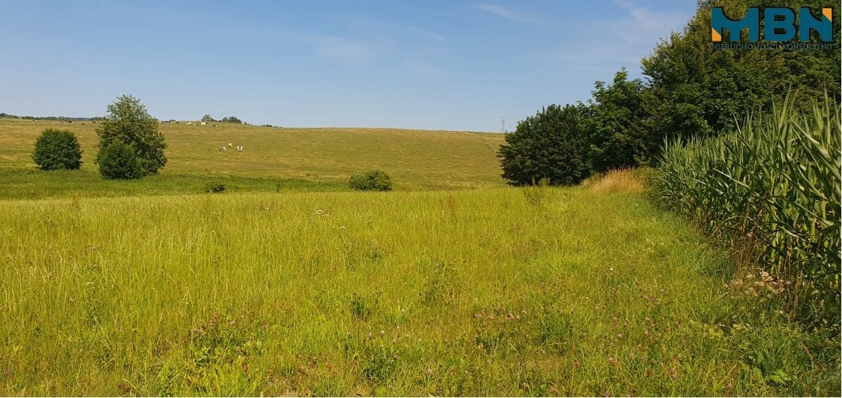 Działka rolna na sprzedaż Stręgielek, Stręgielek  3 054m2 Foto 16