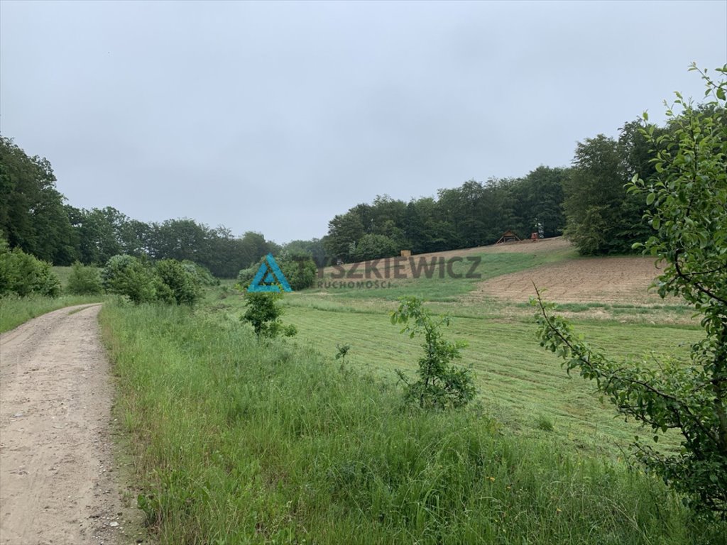 Działka budowlana na sprzedaż Trzepowo, Cystersów  2 997m2 Foto 2